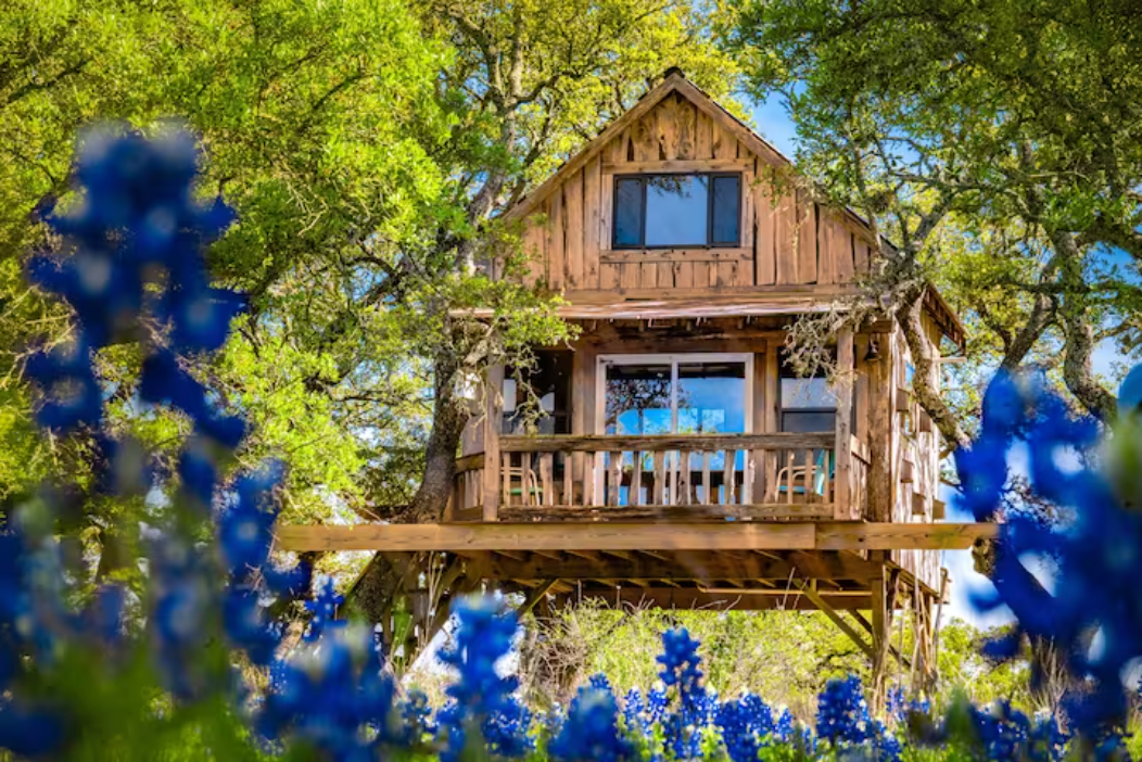 The treehouse amongst the bluebonnets in Springtime