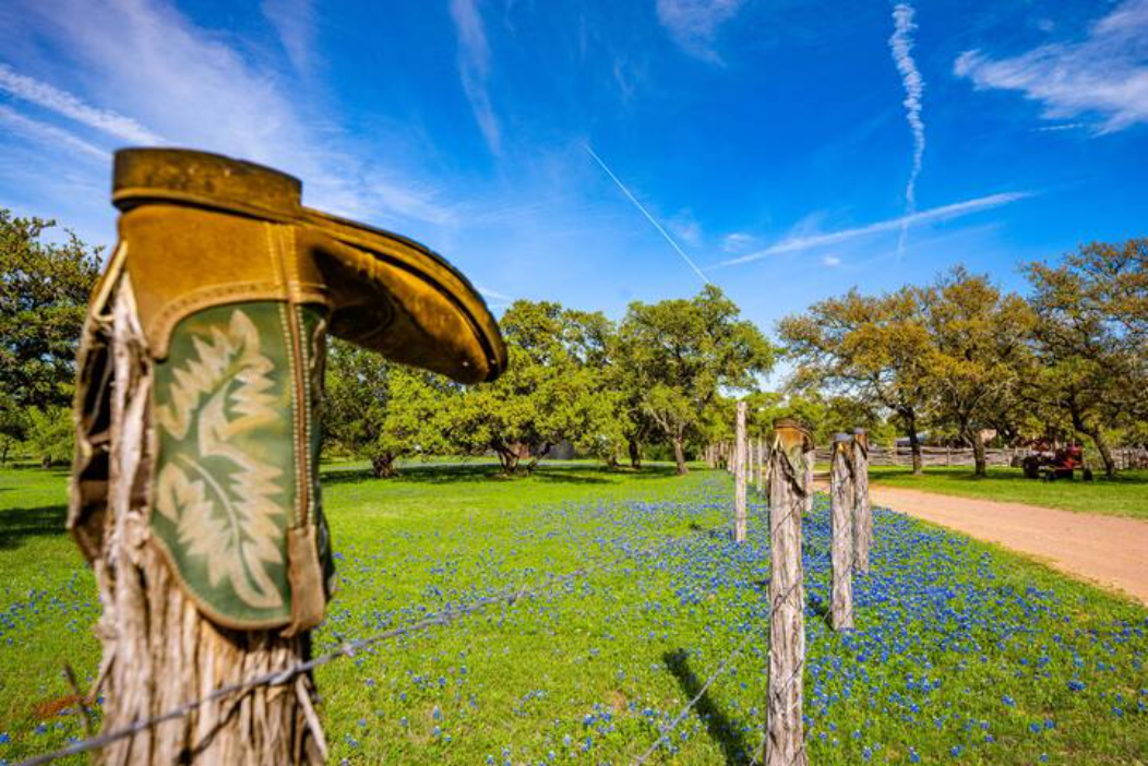 Boot Fence and Bluebonnets at Willow Sky Ranch