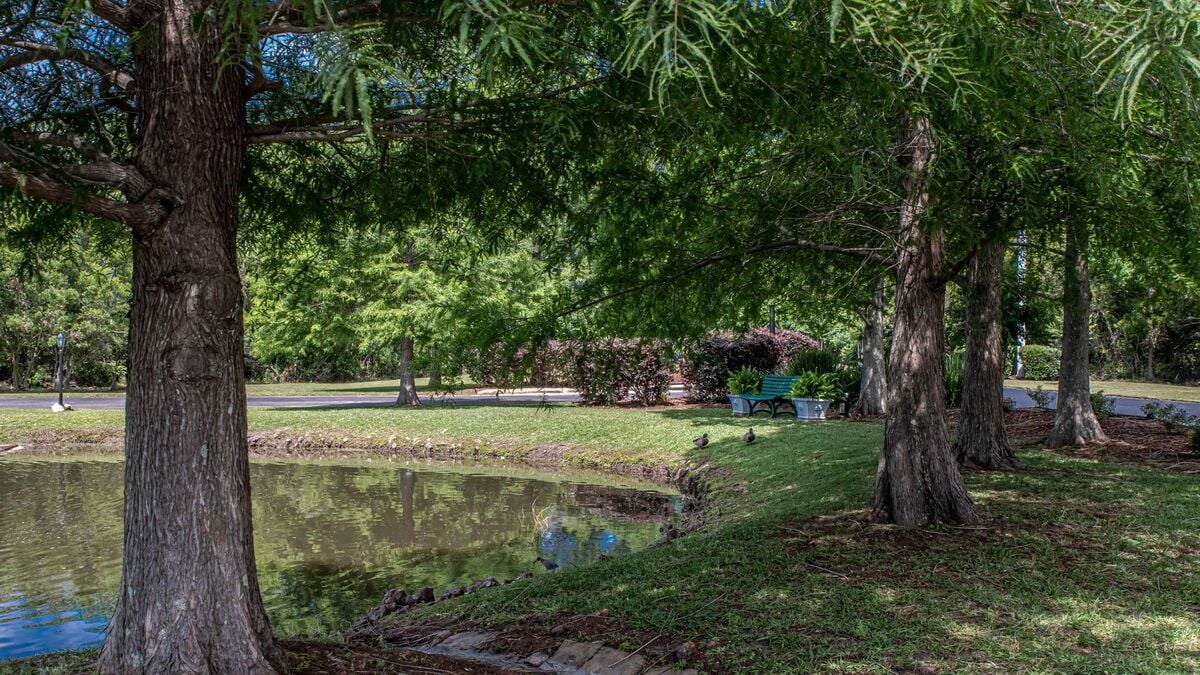 Situated in a serene environment amidst the beautiful tranquility of nature, this peaceful retreat invites you with the assurance of peace and relaxation.