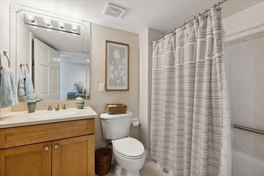 Guest bathroom with tub/shower combo