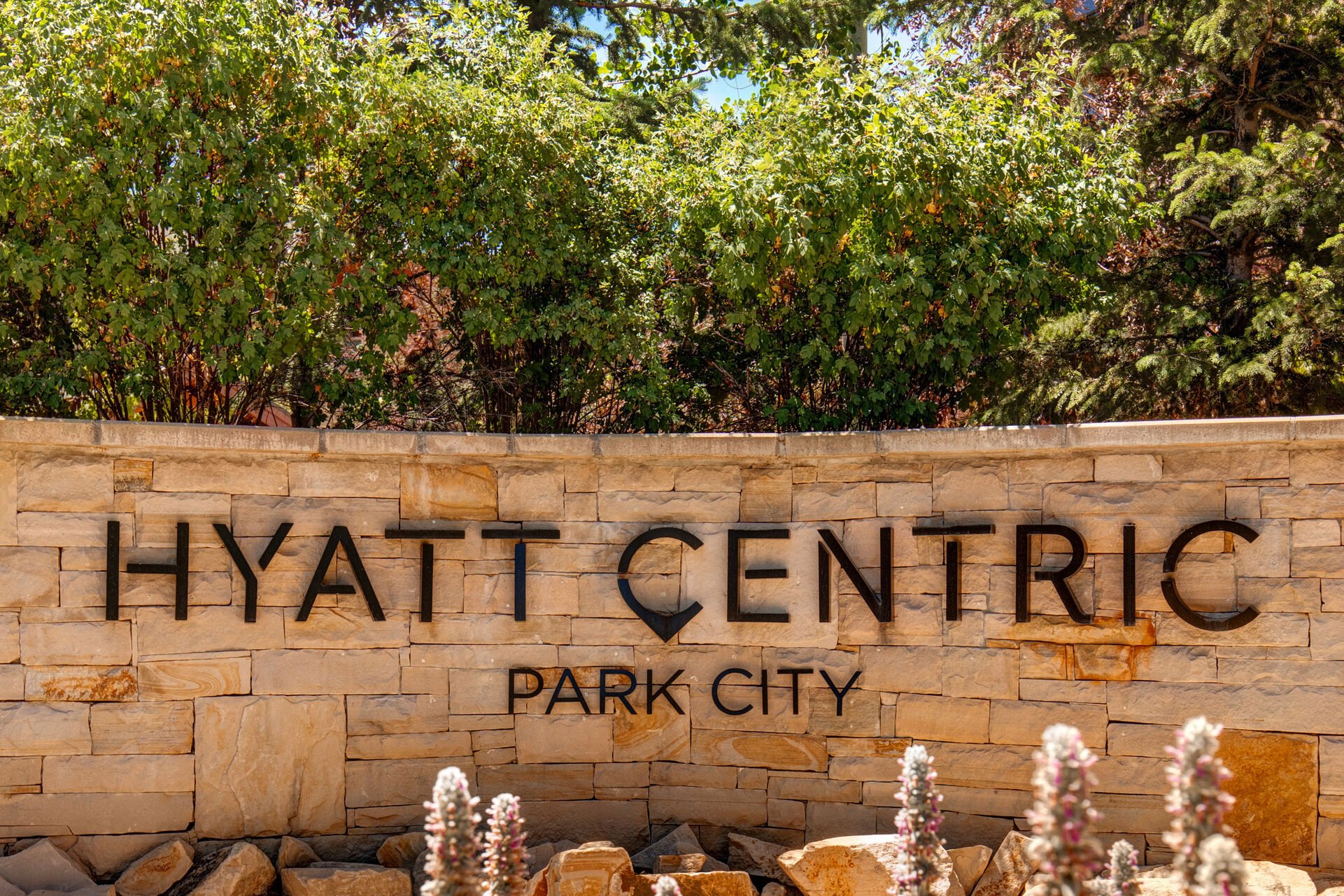 Condo located in the Hyatt Centric / Escala Lodge