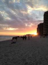 Horseback Riding on the Beach