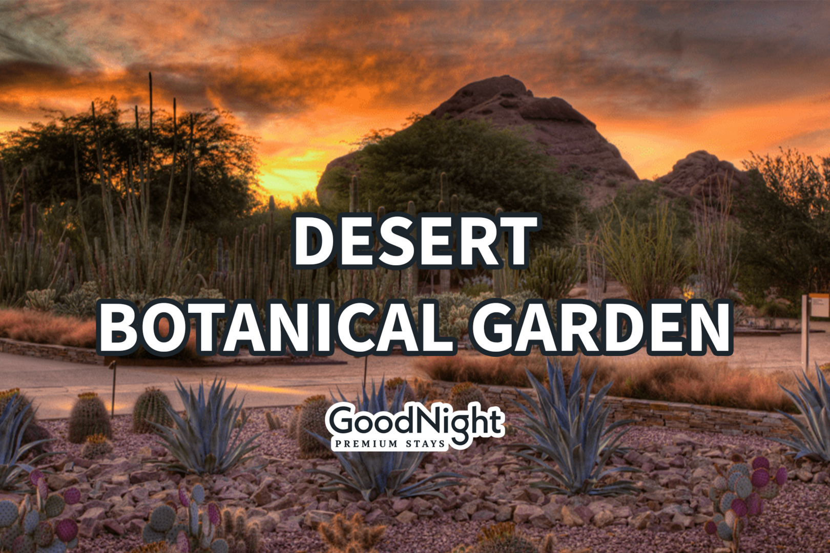 6 mins: Desert Botanical Garden