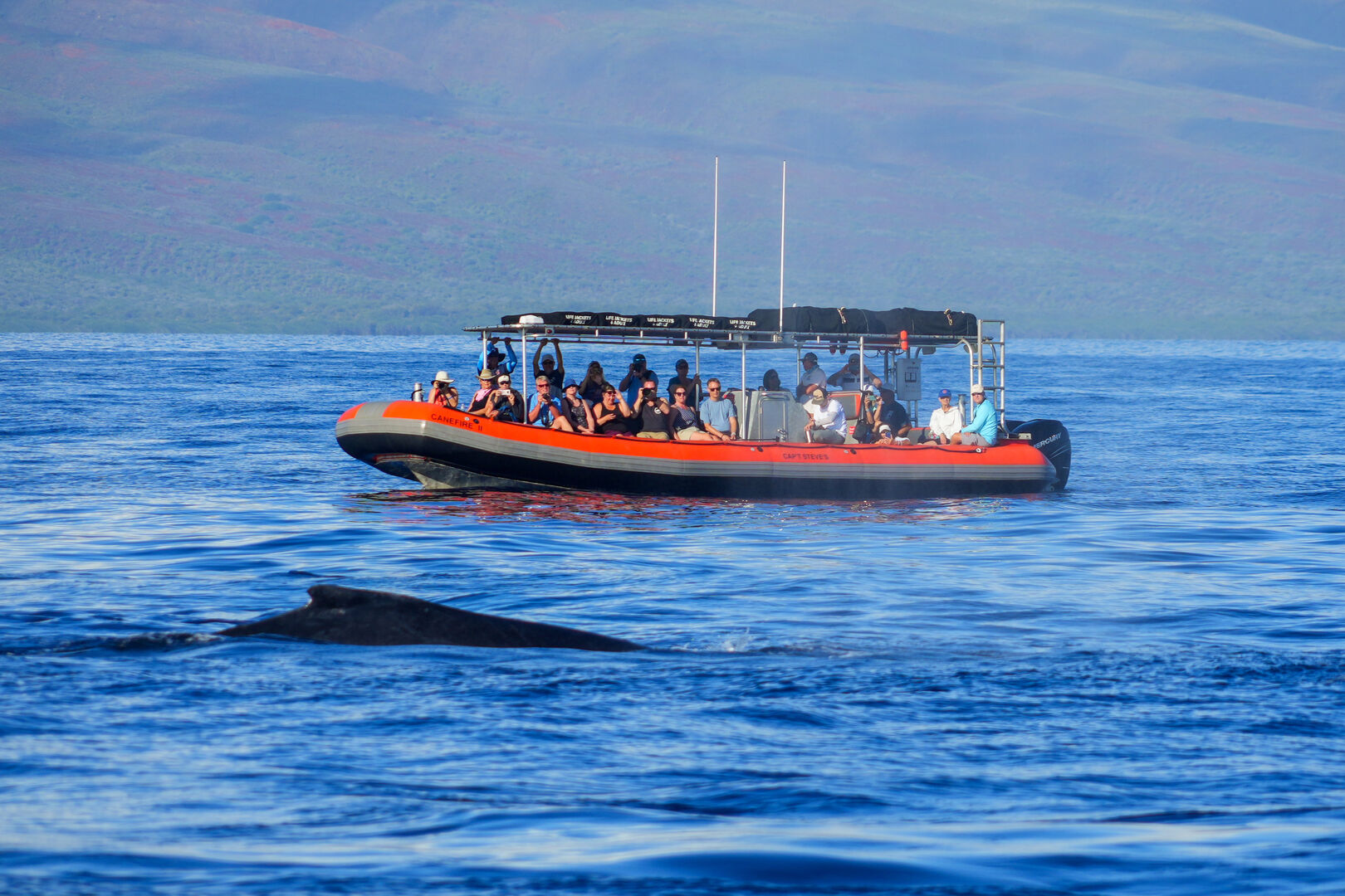 Join a thrilling whale-watching tour in Maui and witness humpback whales up close while cruising through the island's stunning waters.