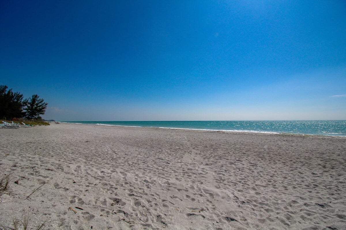 Crystal Clear Waters