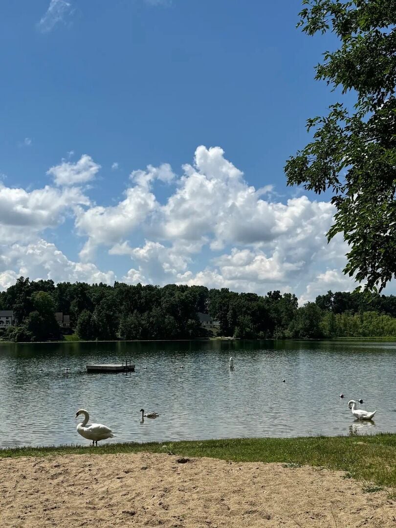 Discover the tranquil beauty of Handy Lake in Hartland, MI. Perfect for fishing, boating, and soaking up nature's serenity. Enjoy scenic waters and peaceful surroundings.