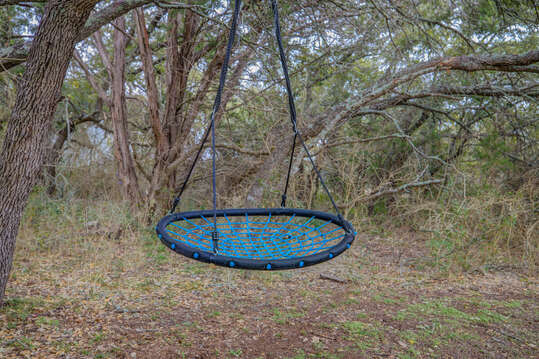 A cozy tree swing nestled in the backyard, perfect for kids or adults to enjoy a relaxing moment outdoors.