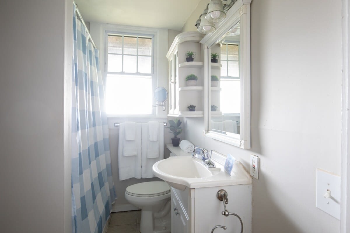 Bathroom 1 with Natural Lighting