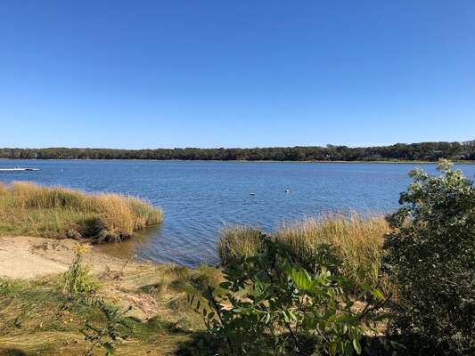 Town Cove Waterfront